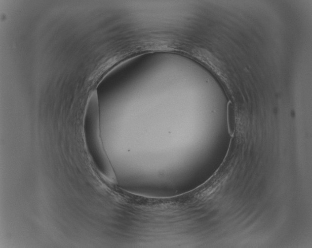 X0000073900433200608181002