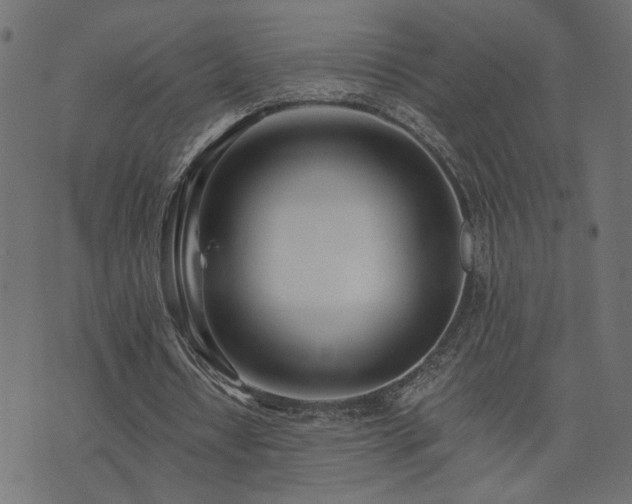 X0000073900434200608181003