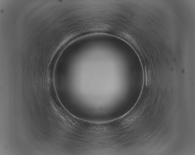 X0000073900435200608181003