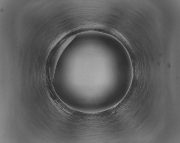 X0000073900436200608181003