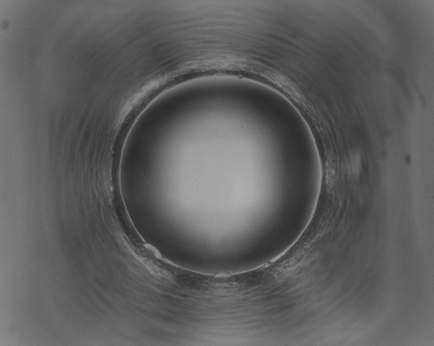 X0000073900438200608181003