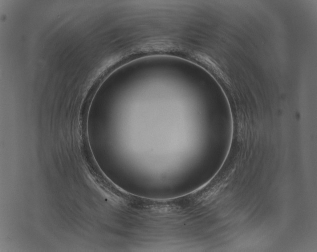 X0000073900439200608181003