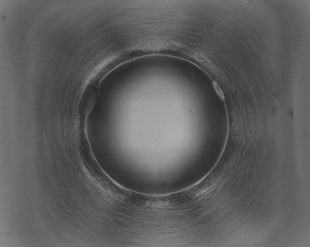 X0000073900440200608181003