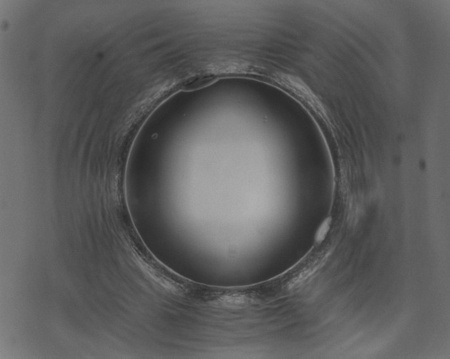 X0000073900441200608181003