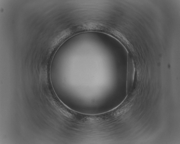 X0000073900442200608181003