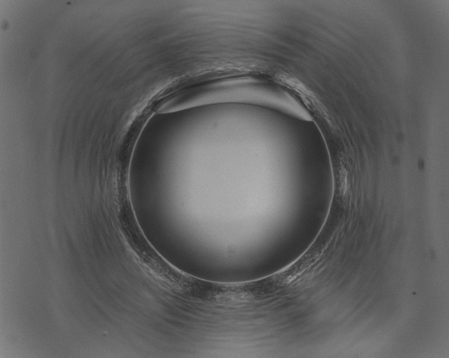 X0000073900444200608181003