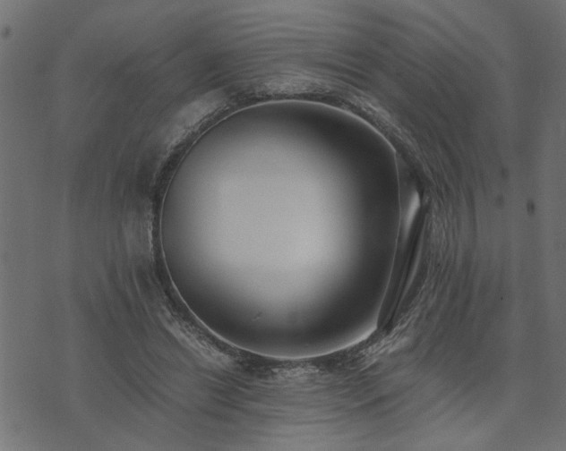 X0000073900446200608181003