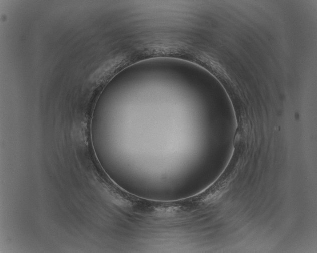 X0000073900450200608181003