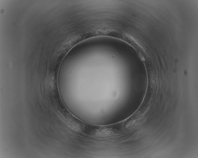 X0000073900451200608181003