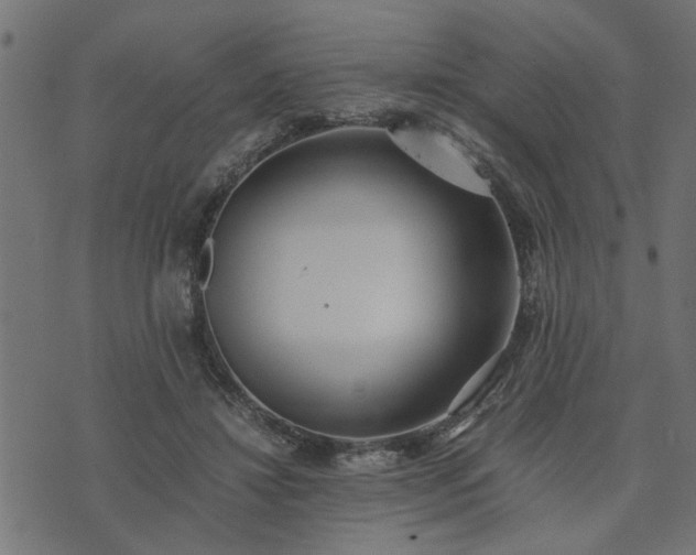 X0000073900452200608181003