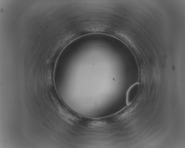 X0000073900453200608181003