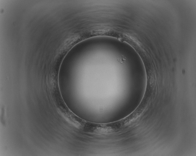 X0000073900455200608181003