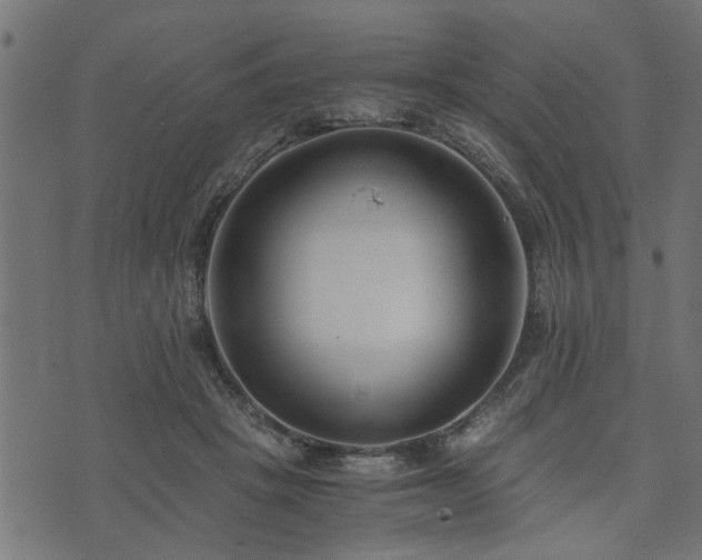 X0000073900457200608181003