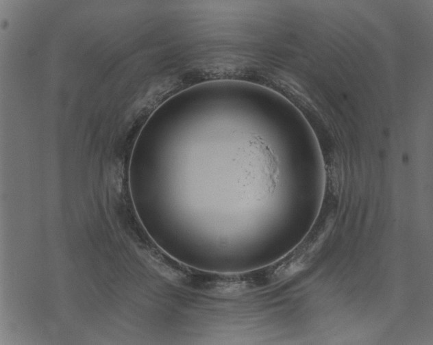 X0000073900458200608181003