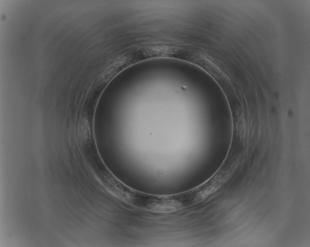 X0000073900459200608181003