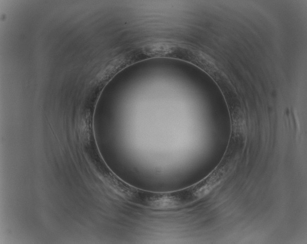 X0000073900460200608181003