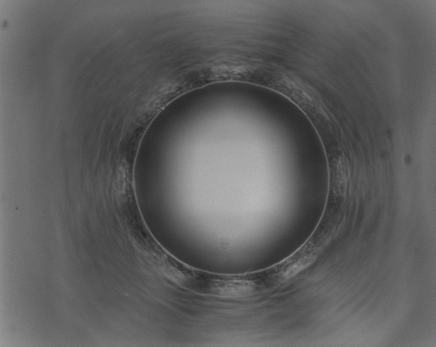 X0000073900463200608181003