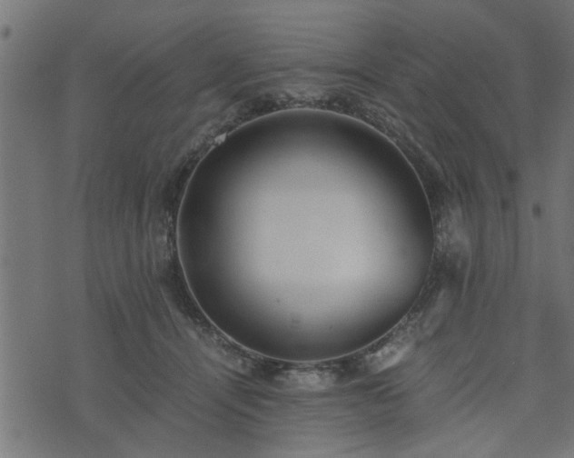 X0000073900464200608181003