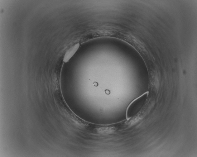 X0000073900465200608181003