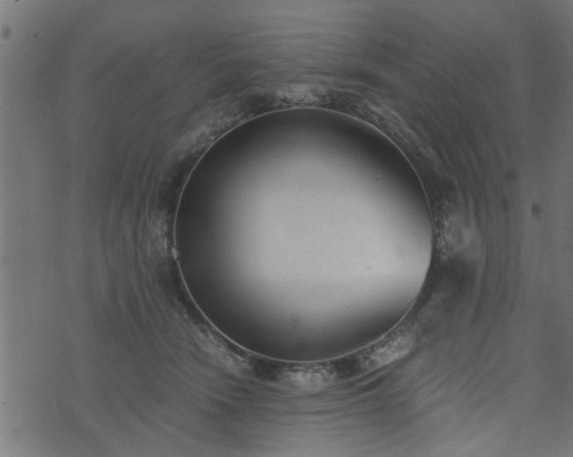 X0000073900466200608181003