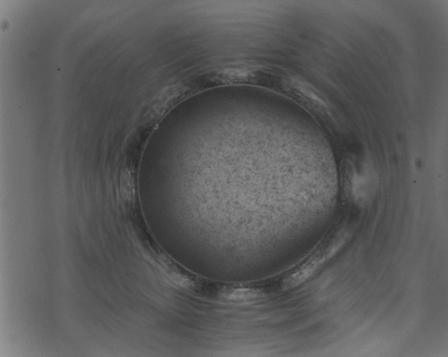 X0000073900467200608181003