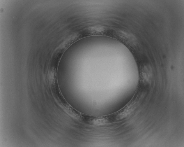 X0000073900468200608181003