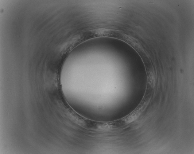 X0000073900470200608181003