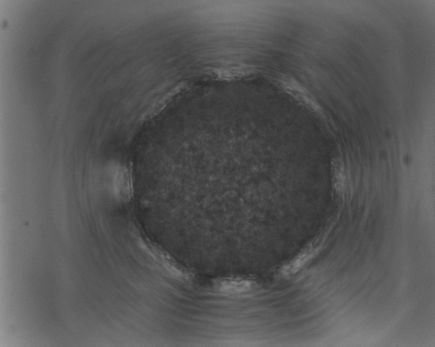 X0000073900471200608181003