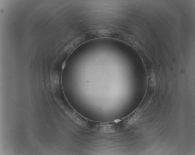 X0000073900472200608181003