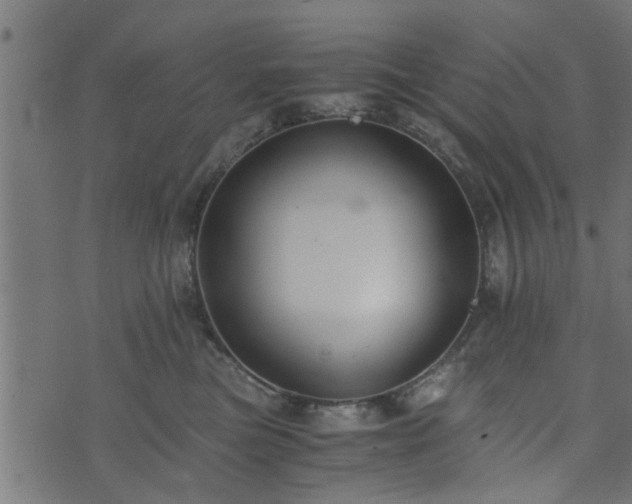 X0000073900473200608181003