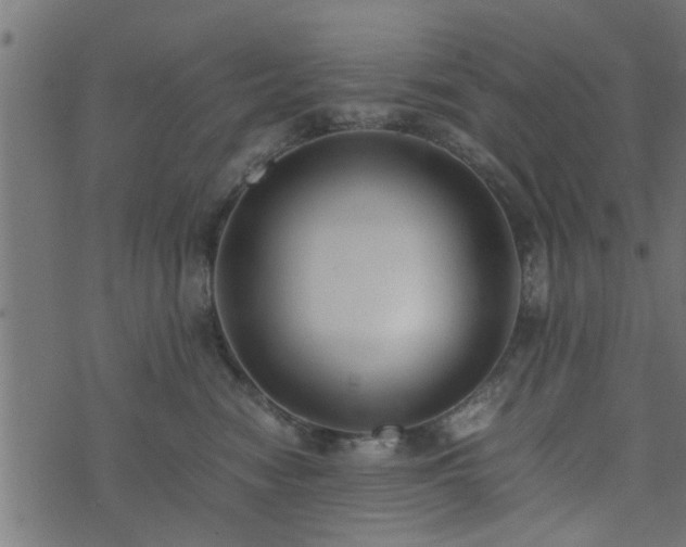 X0000073900474200608181003