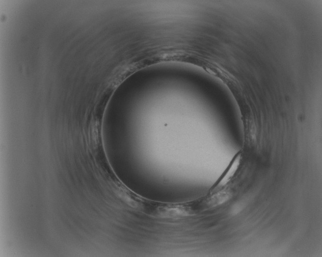 X0000073900475200608181003