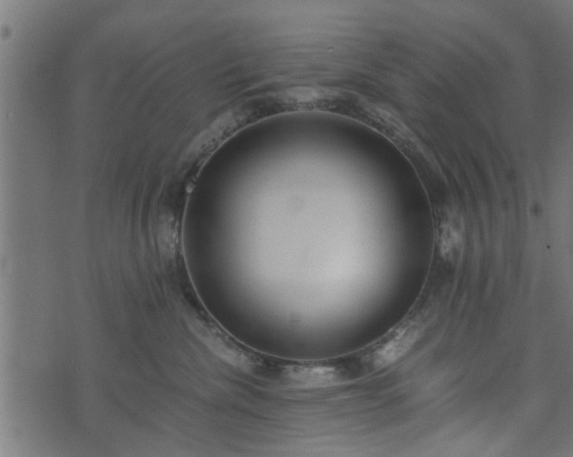 X0000073900476200608181003