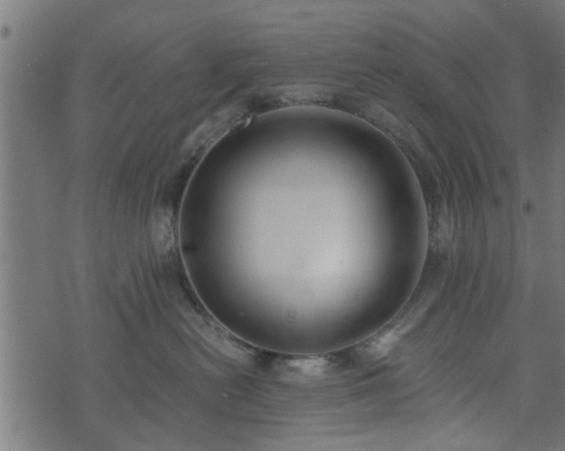 X0000073900478200608181003