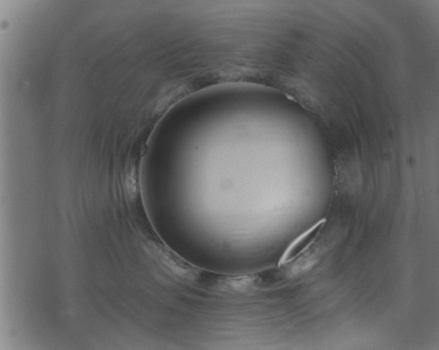 X0000073900479200608181003