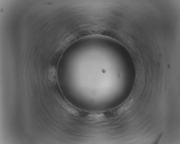 X0000073900480200608181003