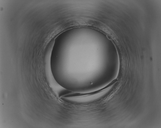 X0000073900481200608181002