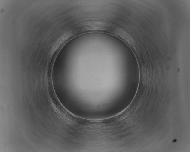 X0000073900482200608181002