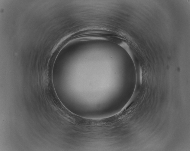 X0000073900484200608181002