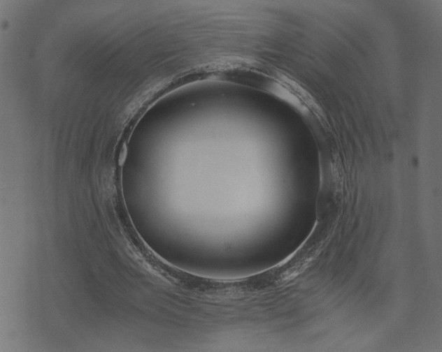 X0000073900485200608181002