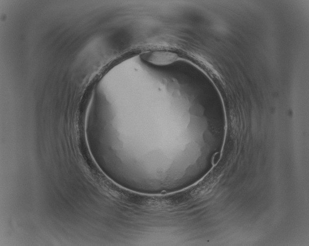 X0000073900487200608181002