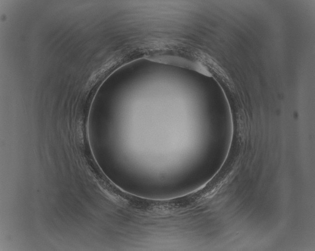 X0000073900489200608181002