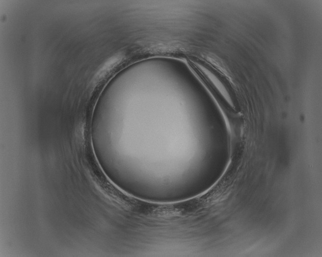 X0000073900491200608181002