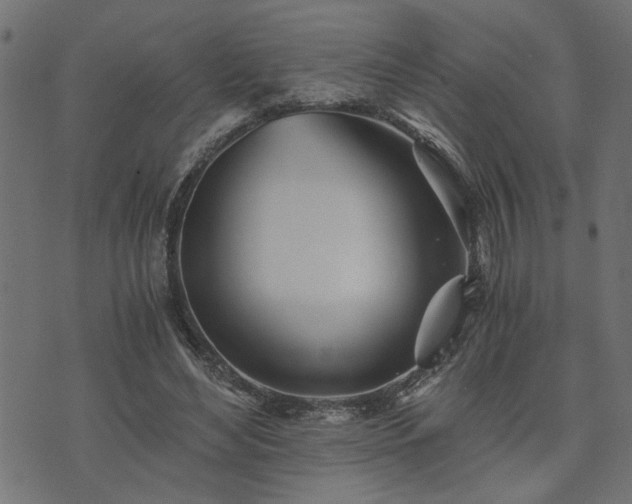 X0000073900492200608181002