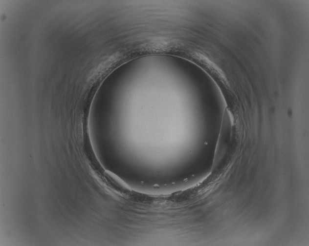 X0000073900493200608181002