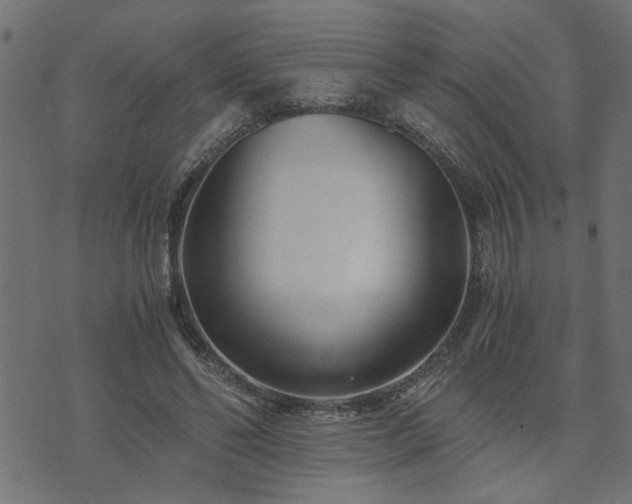 X0000073900494200608181002