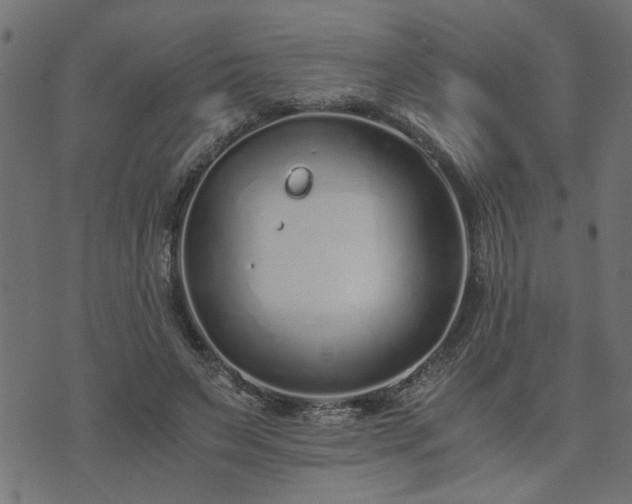 X0000073900495200608181002