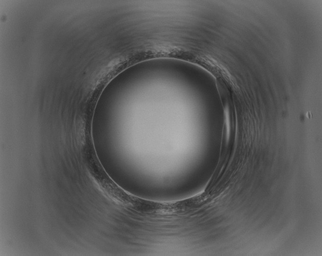 X0000073900496200608181002