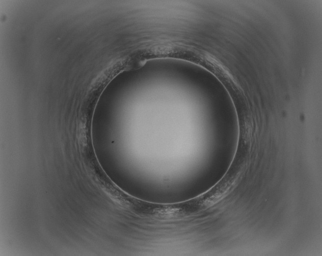 X0000073900497200608181002