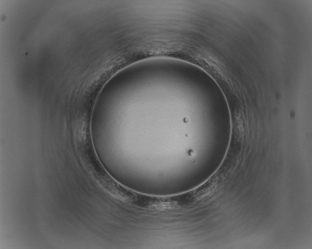 X0000073900499200608181002